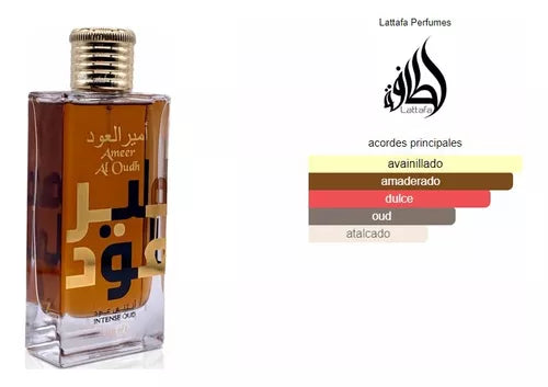 AMEER AL OUDH - 100ML