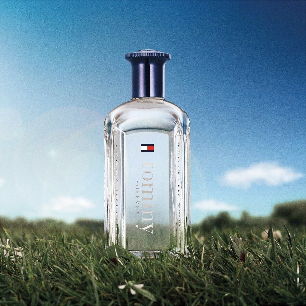 TOMMY MEN - 100ML